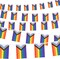 32.8ft 38 Pcs Progress Pride Pennant Flags Banner,Gay LGBTQ Rainbow Pride Banner Flag, Colorful Stripes Bunting Banner for Pride Decorations, Pride Month, Party, Restaurants, Garden Decor
